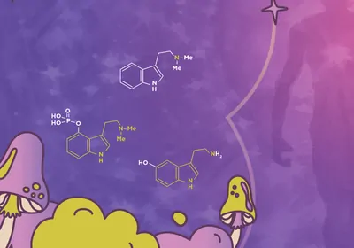 Chemical structures of DMT, Psilocybin and serotonin Chemical structures of DMT, Psilocybin and serotonin